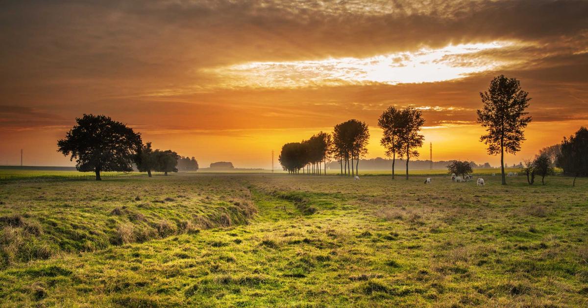 Featured: Iodine and Thyroid Function: Why Seaweed Isn't Your Only Option for Hormone Balance