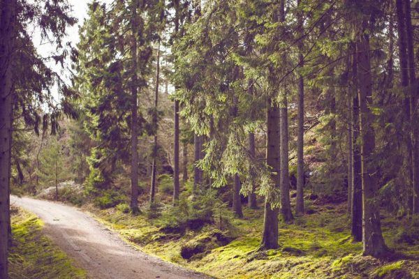 Featured: Top 10 Best Nutrition & Diet Plans You Should Consider