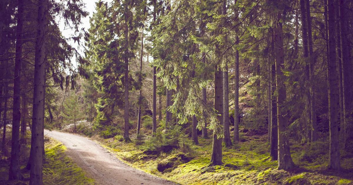 Featured: Top 10 Best Nutrition & Diet Plans You Should Consider