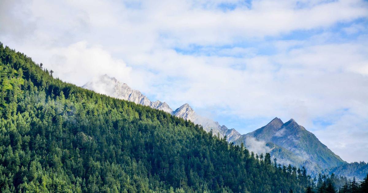 Featured: Vitamin D Toxicity: How Much Is Too Much and Why Your Mega-Dose Supplement Might Backfire