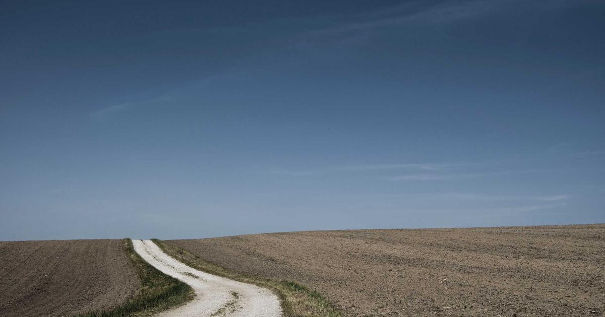 Featured: Lectins and Nightshades: Should You Really Avoid Tomatoes, Peppers, and Potatoes for Joint Pain?