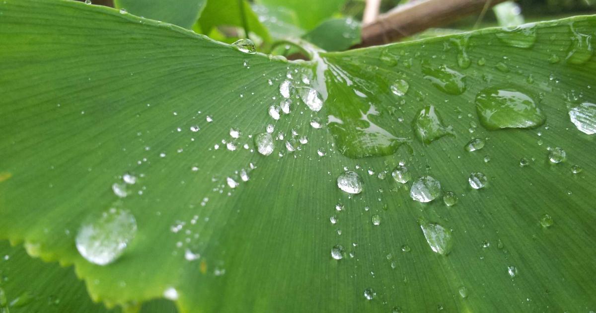 Featured: Meal Prep for Weight Loss: 7-Day System That Saves Time and Cuts Calories