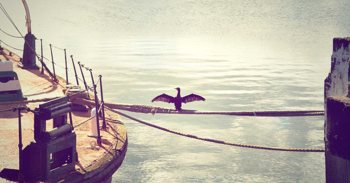 Featured: Eating Disorders Recovery: Nutritional Rehabilitation and Building a Healthy Relationship with Food